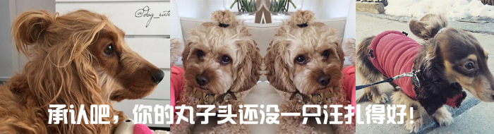 ���J(r��n)������������^�ǲ���߀�](m��i)һֻ�����ú�